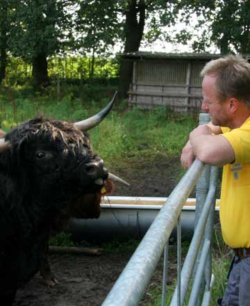 Kontakt zum Besitzer von Highland Cattle Heidgraben Horst Ermeling